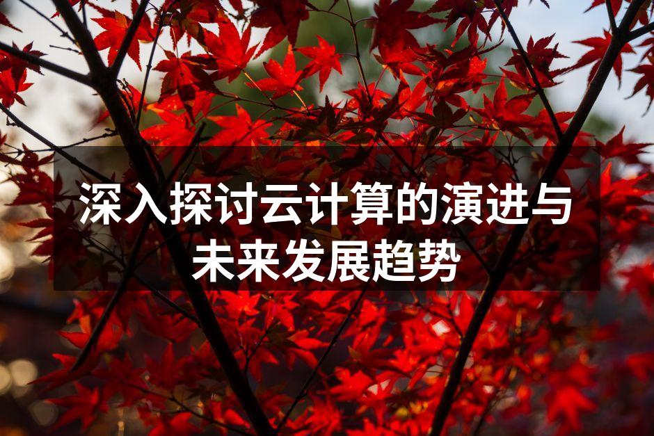 深入探讨云计算的演进与未来发展趋势