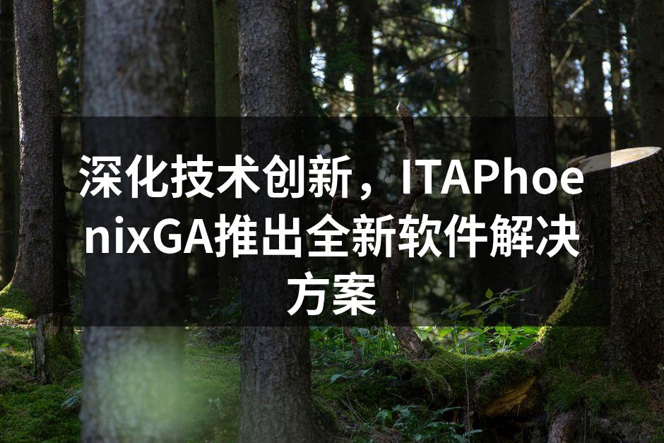 深化技术创新，ITAPhoenixGA推出全新软件解决方案