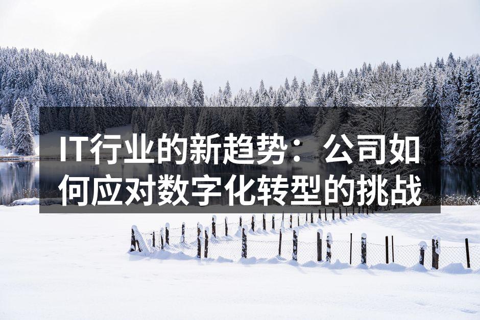 IT行业的新趋势：公司如何应对数字化转型