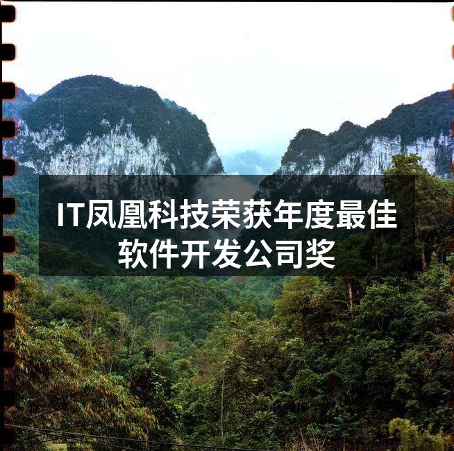 IT凤凰科技荣获年度最佳软件开发公司奖