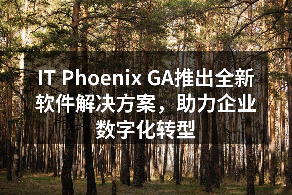 IT Phoenix GA推出全新软件解